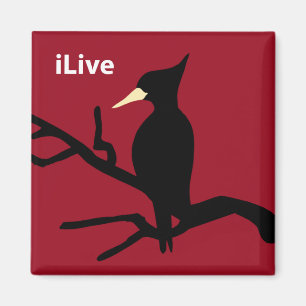 IBWO: iLive Magnet