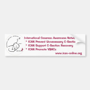 ICAN Bumper Sticker