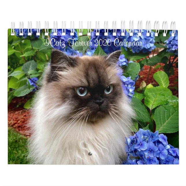 ICatz Forever 2020 Team Calendar (Cover)