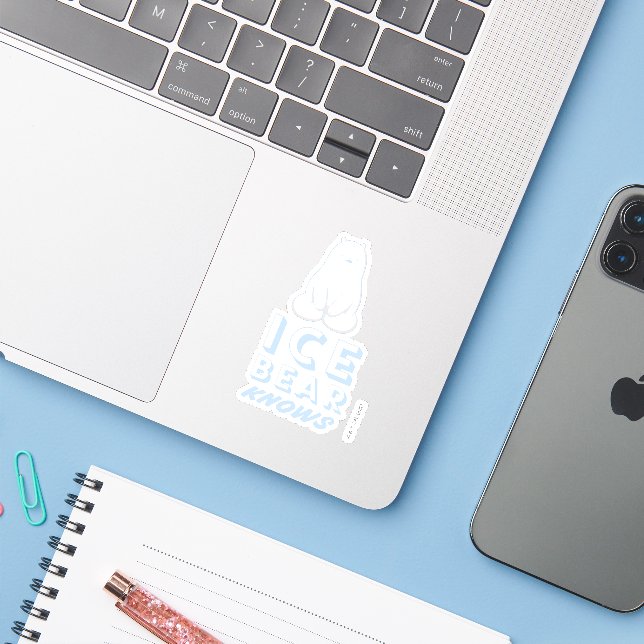 Ice Bear Knows (Laptop w/ iPhone)