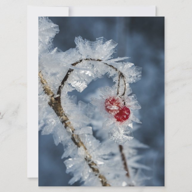 Ice Berries (Front)