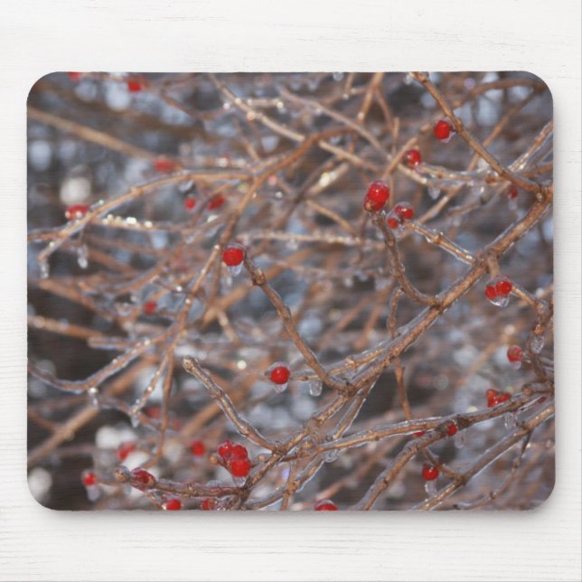 Ice Berries Mouse Pad (Front)