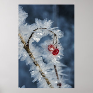 Ice Berries Poster