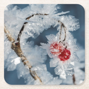 Ice Berries Square Paper Coaster