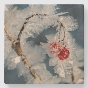 Ice Berries Stone Coaster