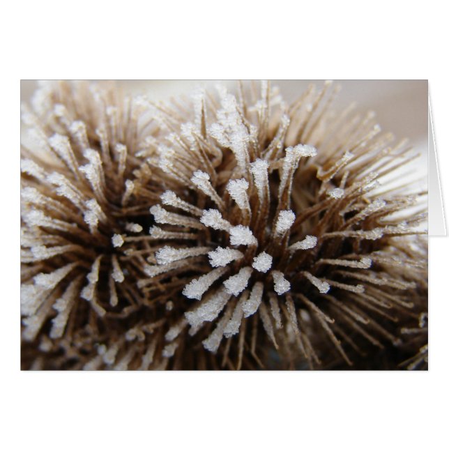 Ice Burrs (Front Horizontal)