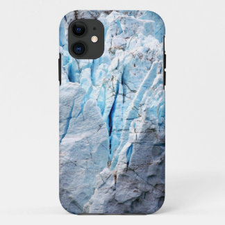 Ice case