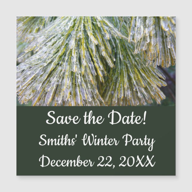 Ice Coated Pine Needles Winter Botanical (Front)
