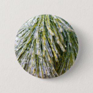 Ice Coated Pine Needles Winter Botanical 6 Cm Round Badge