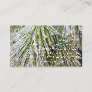 Ice Coated Pine Needles Winter Botanical Business Card