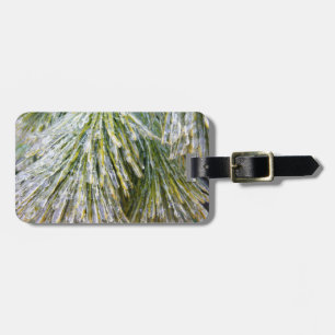 Ice Coated Pine Needles Winter Botanical Luggage Tag