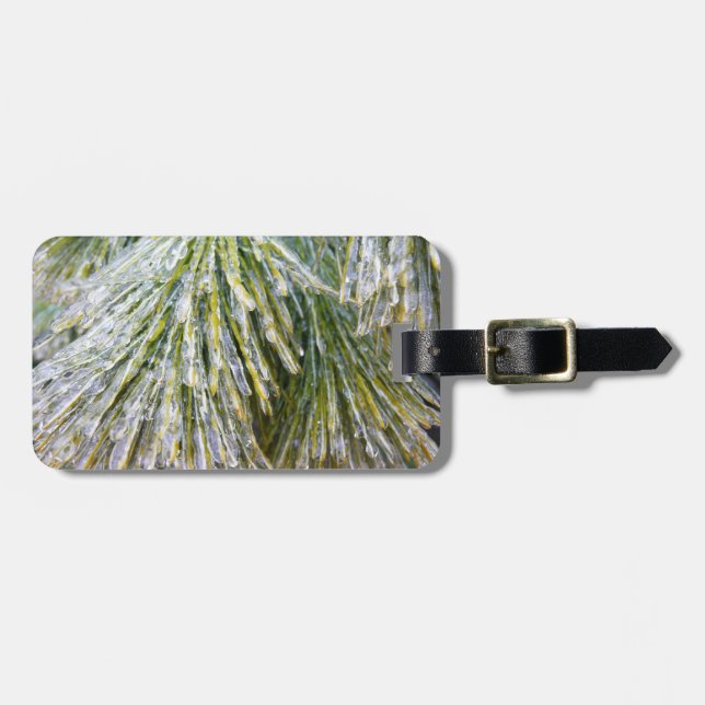 Ice Coated Pine Needles Winter Botanical Luggage Tag (Front Horizontal)