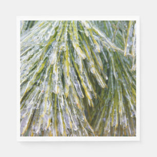 Ice Coated Pine Needles Winter Botanical Napkin