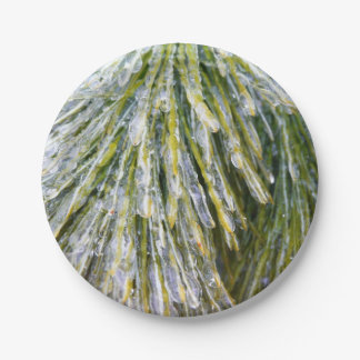 Ice Coated Pine Needles Winter Botanical Paper Plate