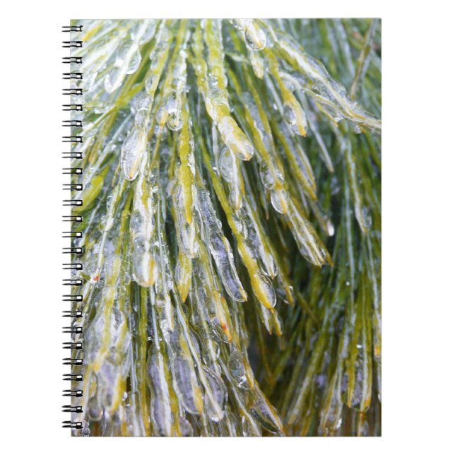 Ice Coated Pine Needles Winter Botanical Spiral Notebook (Front)