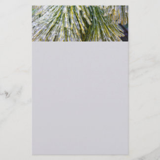 Ice Coated Pine Needles Winter Botanical Stationery