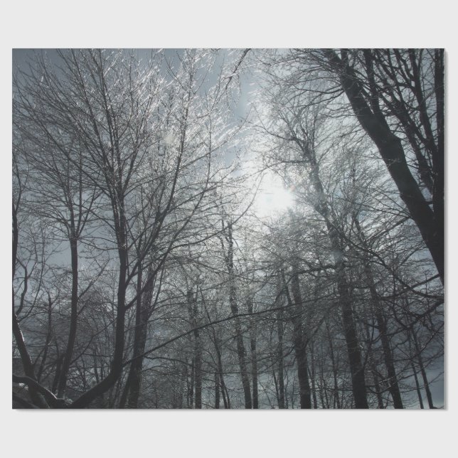 Ice covered trees sundown wrapping paper (Flat)