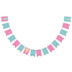 Ice Cream Cones Pink Blue Happy Birthday Bunting