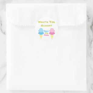 Ice Cream Gender Reveal Classic Round Sticker