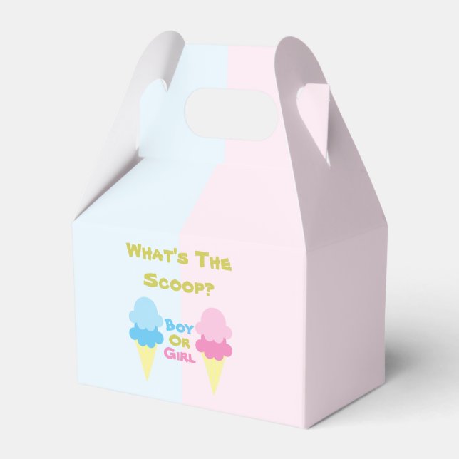 Ice Cream Gender Reveal Favour Box (Front Side)
