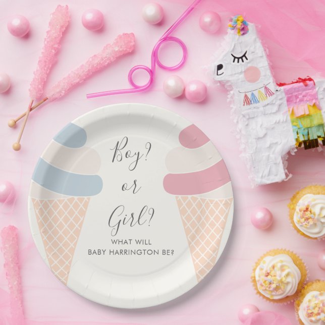 Ice Cream Pastel Colour Boy Or Girl Gender Reveal Paper Plate (Party)
