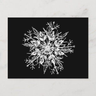 Ice crystal snowflake postcard
