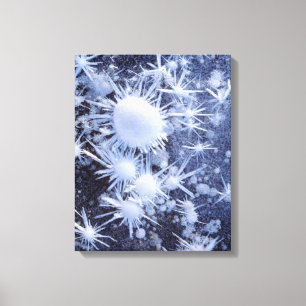 Ice crystals in the Sierra Canvas Print