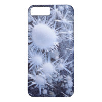 Ice crystals in the Sierra