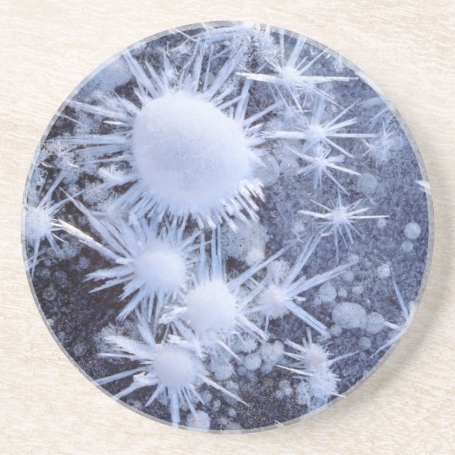 Ice crystals in the Sierra Coaster (Front)