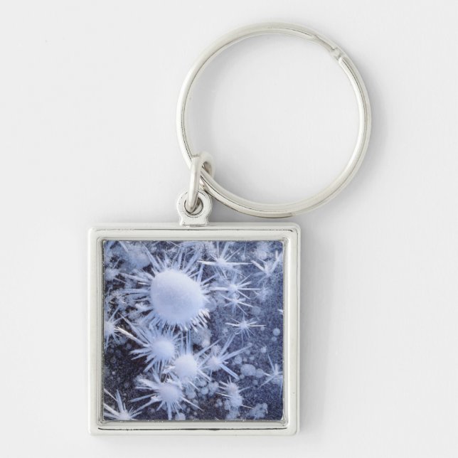 Ice crystals in the Sierra Key Ring (Front)