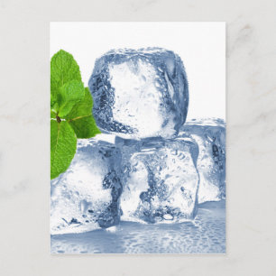 Ice cube cool yourself postcard