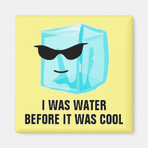 Ice Cube I Was Water Before It Was Cool Magnet