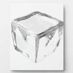 Ice cube plaque