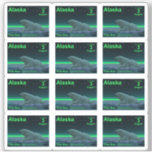 Ice Edge Polar Bear - Alaska Postage Sticker<br><div class="desc">Another in the series of postage stamps for a notional independent Alaska. A peaceful moment in the long Arctic night. A Polar Bear rests at the edge of an open area in the pack ice. The Northern Lights glow in the distance; bright stars twinkle overhead. Text reading "Alaska, " "Postage...</div>