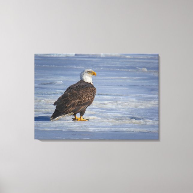 Ice Fishing Canvas Print (Front)