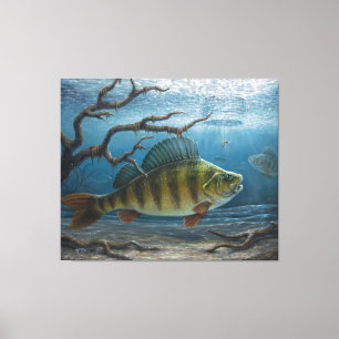 Ice Fishing for Perch Canvas Print
