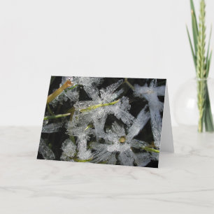 Ice flowers card