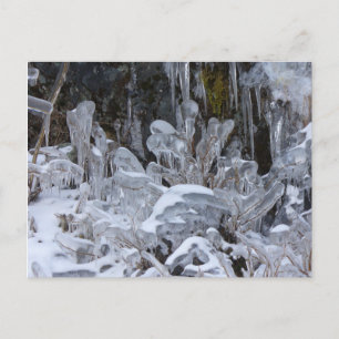 Ice Formations, Unalaska Island Postcard