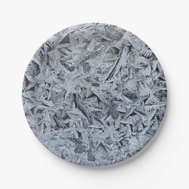 Ice Frost Crystals Texture Image Paper Plate (Front)
