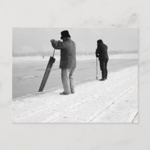 Ice Harvesting, 1903 Postcard