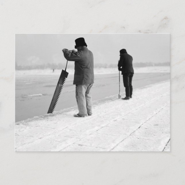 Ice Harvesting, 1903 Postcard (Front)