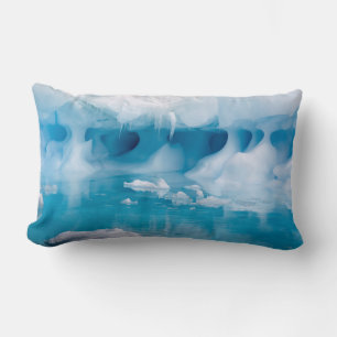 Ice in Antarctica Lumbar Cushion