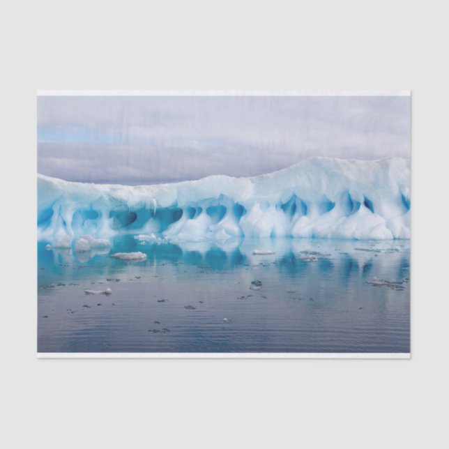 Ice in Antarctica Tissue Paper (Front)