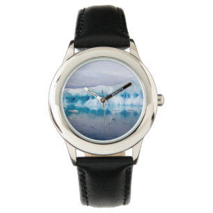 Ice in Antarctica Watch