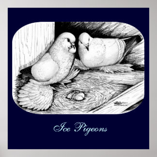 Ice Pigeons Poster