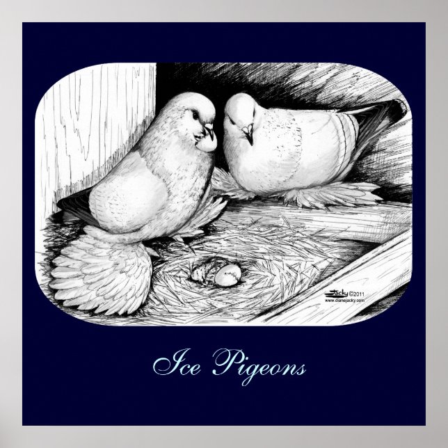 Ice Pigeons Poster (Front)