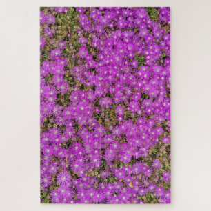 Ice Plant Purple Flowers (Difficult Level) Puzzle