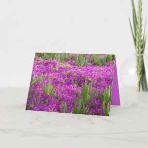 Ice Plant Purple Flowers, Floral, Blank Greeting Card