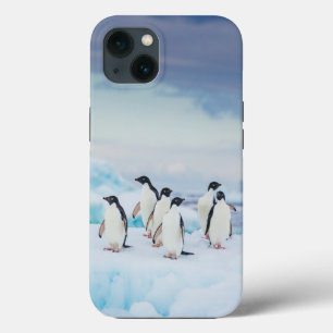 Ice & Snow   Adelie Penguins Antarctica iPhone 13 Case