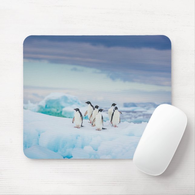 Ice & Snow | Adelie Penguins Antarctica Mouse Pad (With Mouse)